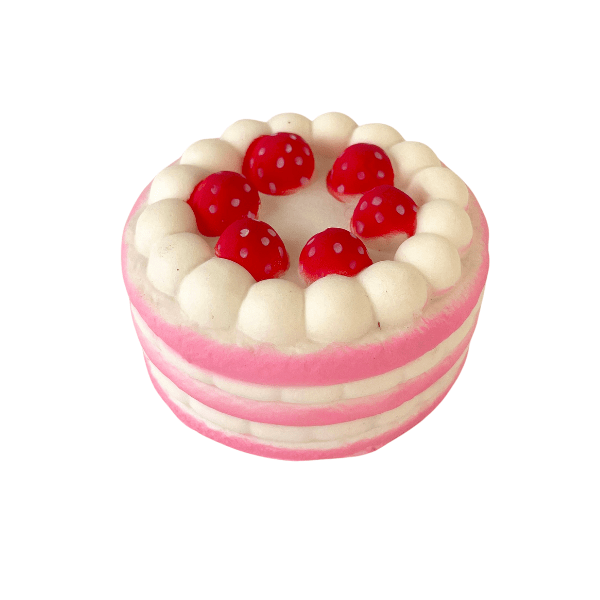 Mini Cake Squishy